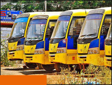 school-busses